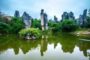 這里的景色憑什么征服全世界？——探尋云南旅行的正確打開方式
